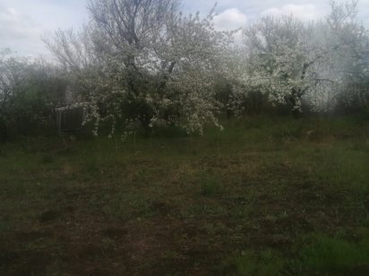 Продадим дачу на старом пароме не доезжая Марьяновки Кривий Ріг