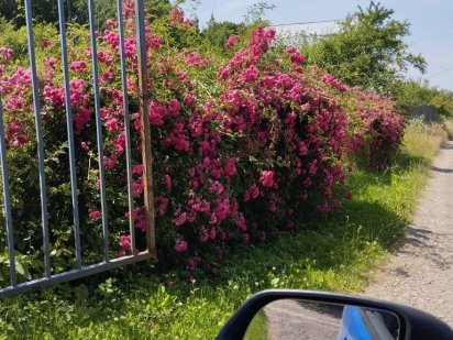 Дачна ділянка 5соток Івано-Франківськ