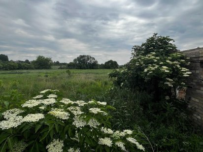 Продам ділянку біля озера 44,6 с. з газом, світлом+Модульний будинок Ірпінь