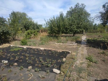 Дачный участок 6 соток Кривий Ріг