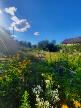 Продам дві земельні ділянки  по пер.Самойловському - фото 1