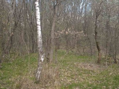 Продається дачна ділянка біля лісу Ивано-Франковск
