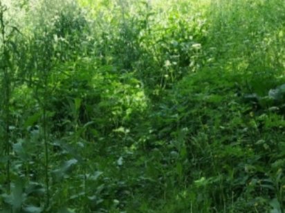 Продається земельна ділянка вул Стуса Івано-Франківськ