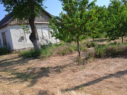 Продам садову ділянку 0,25 га Кривий Ріг