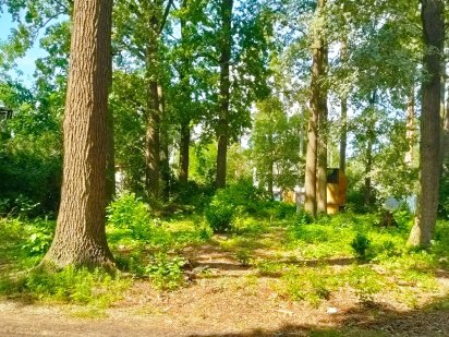 Продаж земельна ділянка  15 соток  під  будівництво  в м. Буча