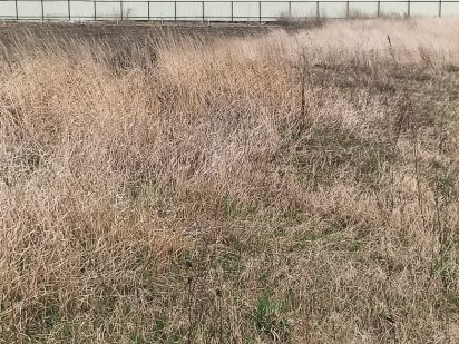 Ділянка під забудову