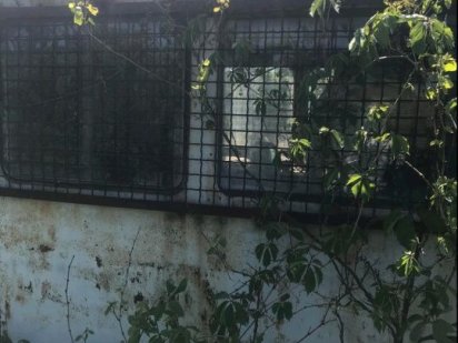 Продам дачу срочно кооператив ягодка марьяновка Кривий Ріг