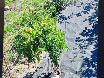 Продам дачу на Всебратском Кривий Ріг