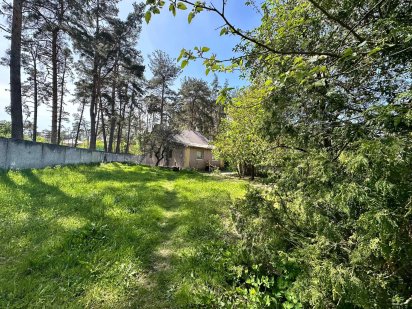 Продаж земельної ділянки в Ірпені серед сосен Ирпень