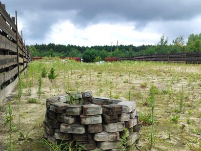 Ділянка під забудову у хвойній діброві біля річки! Луцьк