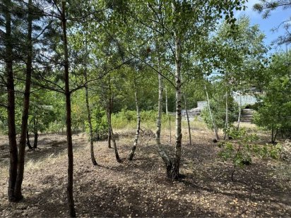 Продам участок земли близко к Киеву, Ирпень Ирпень