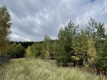 Ділянка з соснами, участок під будівництво Ирпень