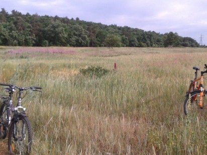 Земельна ділянка Ірпінь Ирпень