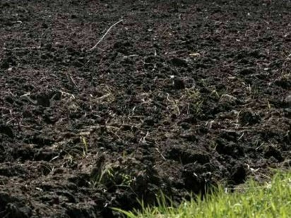 Земельный пай 4 га Никополь