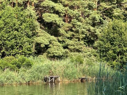 Ділянка 8 соток, участок, рівний, біля дороги,  ст Райдуга Переяслав-Хмельницький