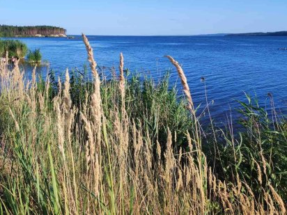 Дачна ділянка на Дніпрі під Переяславом