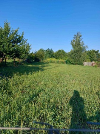 Продам ділянку під садівництво вул.Дубнівська товариство Маяк - фото 1