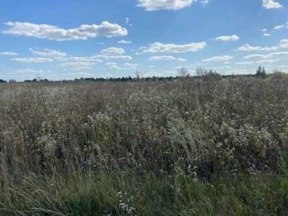 Земельна ділянка біля Луцька Луцк