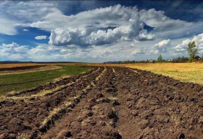 У продажу землі сільськогосподарського призначення СГ у Волинській обл - фото 1