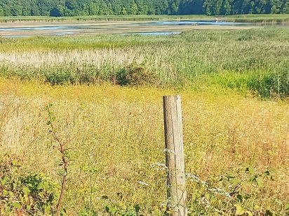 Земельна ділянка з виходом до р. Стир Луцьк