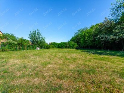 Ділянка з видом на Дендропарк Полтава