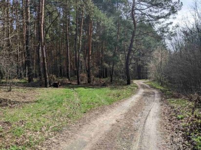 Продаж ділянок біля бази відпочинку Два дубки Полтава