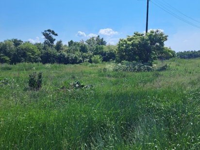 Комерційна земля 1 га біля траси Київ-Харків Полтава