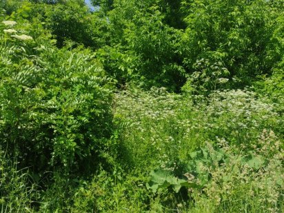 Продам земельну ділянку під забудову Переяслав-Хмельницький