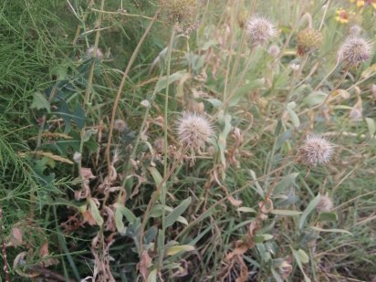 Участок, СРОЧНО ! 10с Полтава