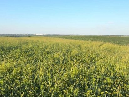 €Терміновий продаж земальноі ділянки Рівне