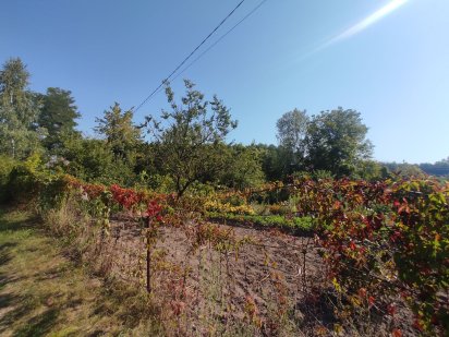 Продається земельна ділянка на Баранівці Суми