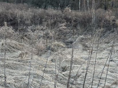 Продам земельну ділянку в СТ «Троянда» Переяслав-Хмельницький