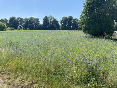 Земельна ділянка 34 сотки Переяслав-Хмельницький