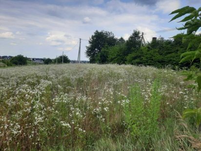 €Терміновий продаж знмельноі ділянки Рівне