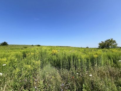 Продаж земельної ділянки в районв Зоопарку Рівне