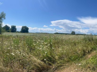 Продам земельну ділянку 1,5га Суми