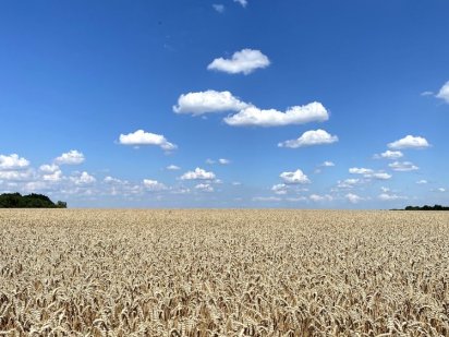 Пай , зімельна ділянка Тернопіль