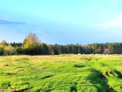 Перспективна ділянка біля природи 2 га Рівне