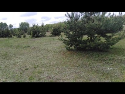 Ділянка під забудову у Вакуленцях Полтава