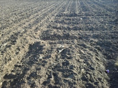 Продається земельна ділянка Тернопіль