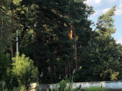 Продам два участка земли на Крутом Берегу возле речки. Полтава