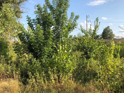 Продам землю на Крутом Берегу рядом с речкой. Полтава