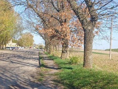 Продам 4 га напроти Молодіжного комерція Ровно