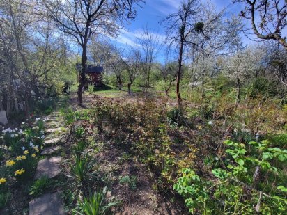 Продається 6 соток роша/дача Чернівці