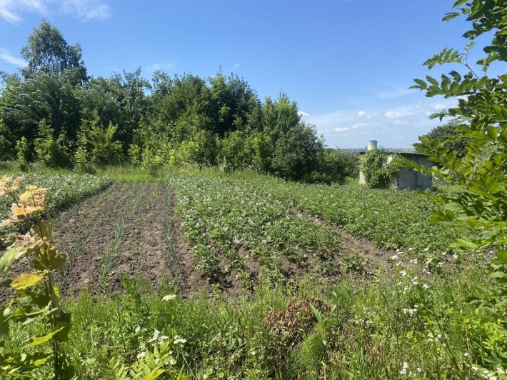 Дачна ділянка під забудову і під Тернополем - фото 1