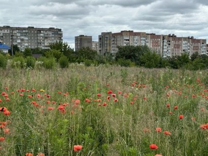 Ділянка за авторинком Рівне