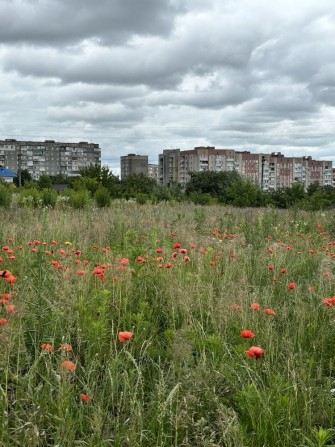 Ділянка за авторинком - фото 1