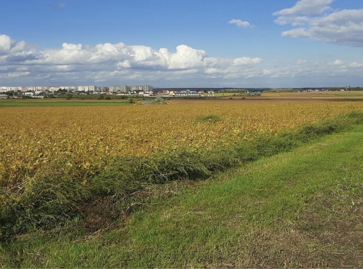 Ділянка. Обʼїздна, Чернівці - фото 1