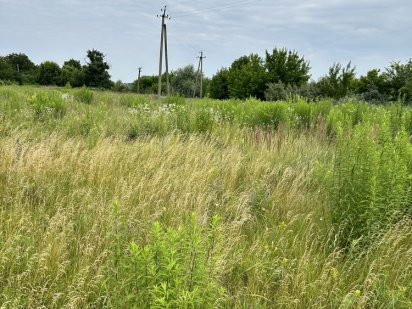 Земельна ділянка Сумы