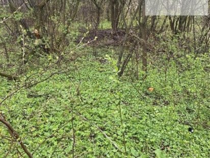 Продаж ділянки в Кутківцях Тернополь